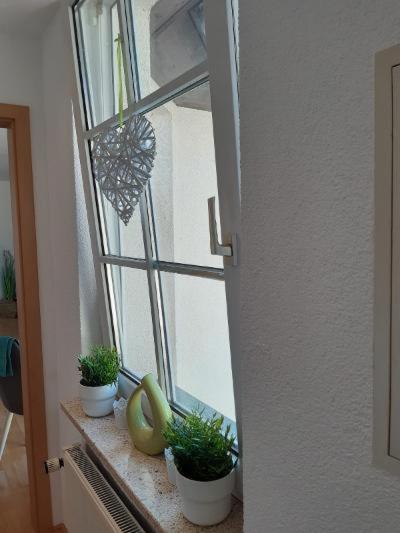 Ferienwohnung Salzmannhaus Zschopau Zewnętrze zdjęcie